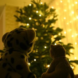 Weihnachgtsbaum