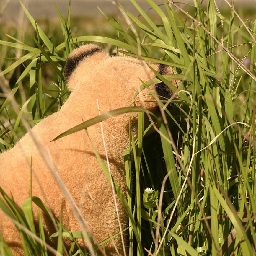 Photo by Juba Gepard on March 24, 2020.: Slide Nummer 8