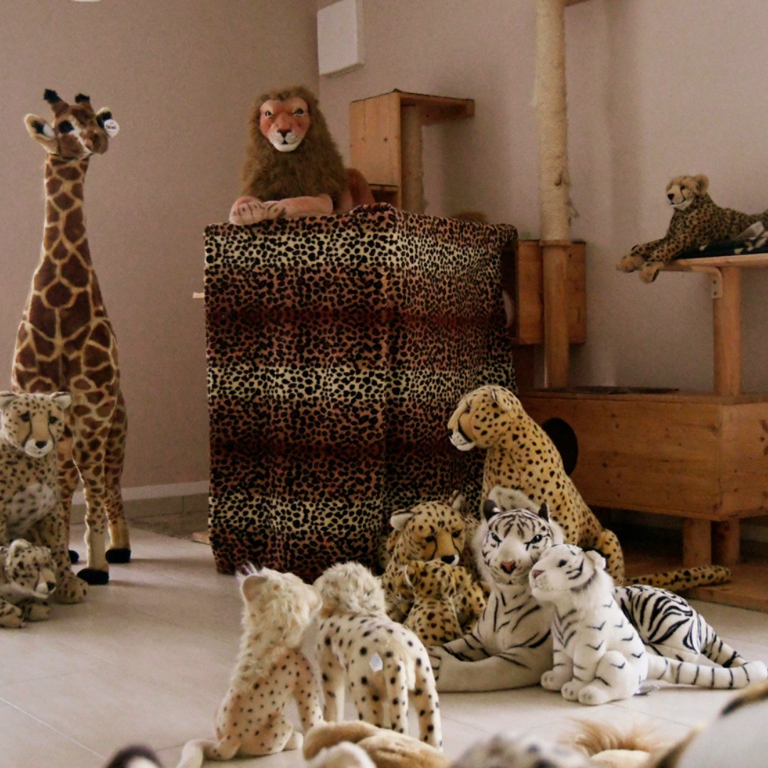 Photo by Juba Gepard on August 02, 2019.: Slide Nummer 1