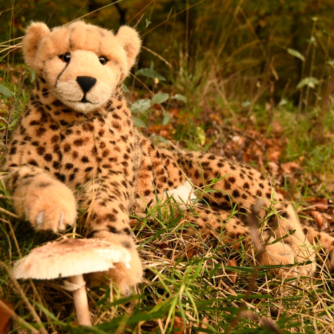 Photo by Juba Gepard on October 20, 2019.