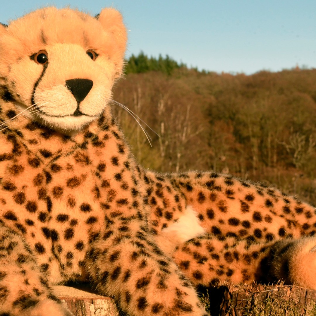 Photo by Juba Gepard on December 05, 2019.