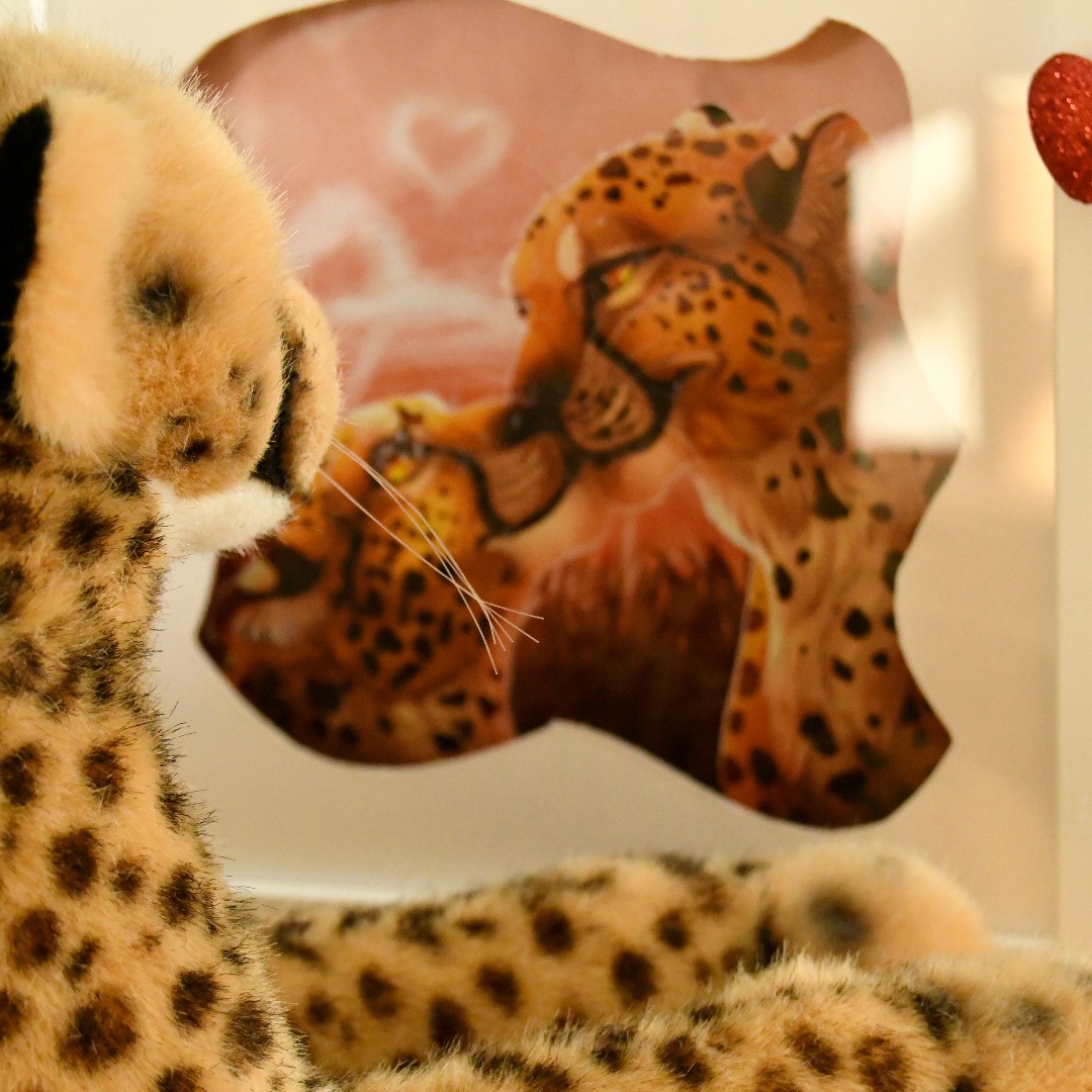 Photo by Juba Gepard on February 14, 2020.