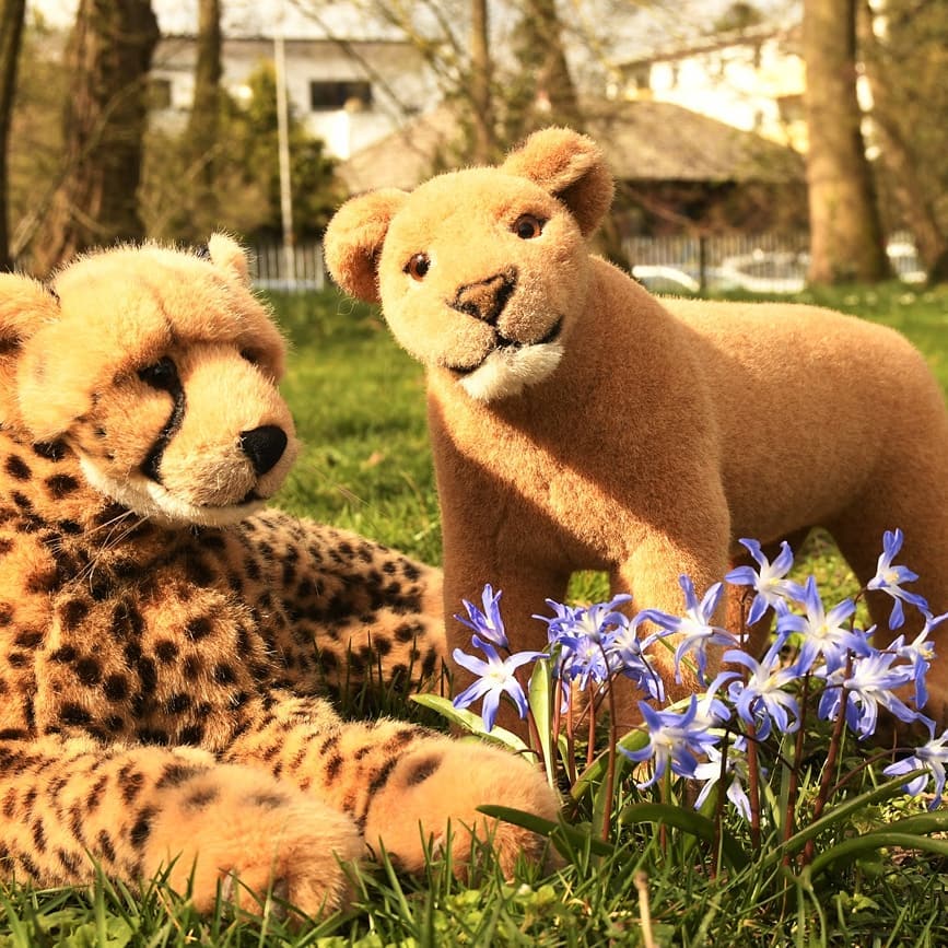 Photo by Juba Gepard on March 19, 2020.