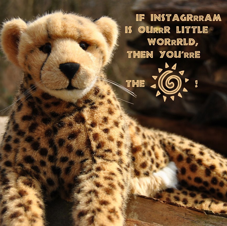 Photo shared by Juba Gepard on February 25, 2020 tagging @little_guys1082, @spidey_ex, @michelle2art_, @snygaming, @la_hamn, @stell.thomas, @everpineplush, @posthexe1967, @orion_olion, @balu_weltenbummler, @diekleinesekunde, and @theplushiediary.