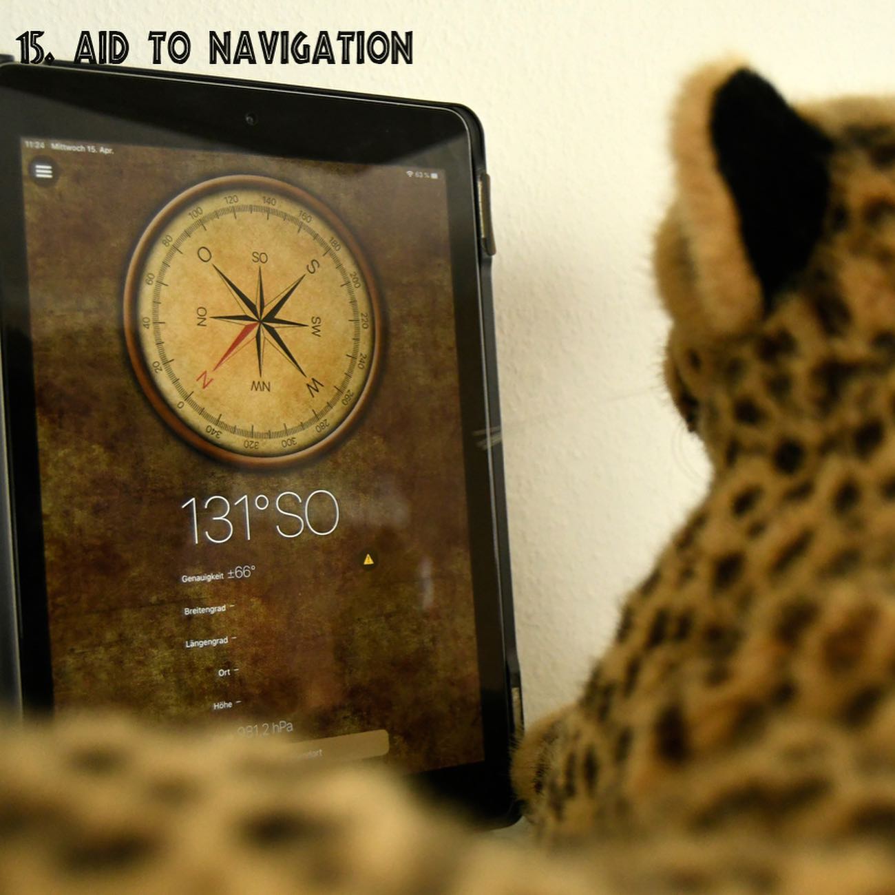 Photo shared by Juba Gepard on April 15, 2020 tagging @adventuresofabear, @dimplesdonkey, and @martha.moose.