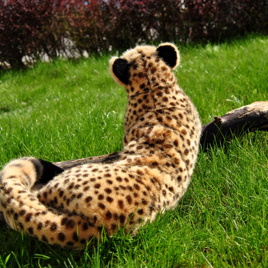 Photo by Juba Gepard on April 10, 2019.