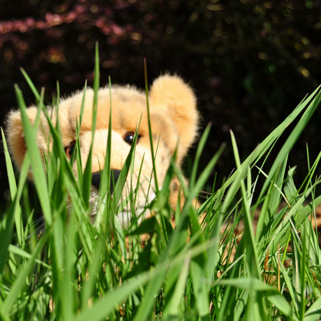 Photo by Juba Gepard on April 10, 2019.