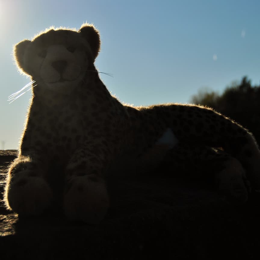 Photo by Juba Gepard on April 24, 2019.