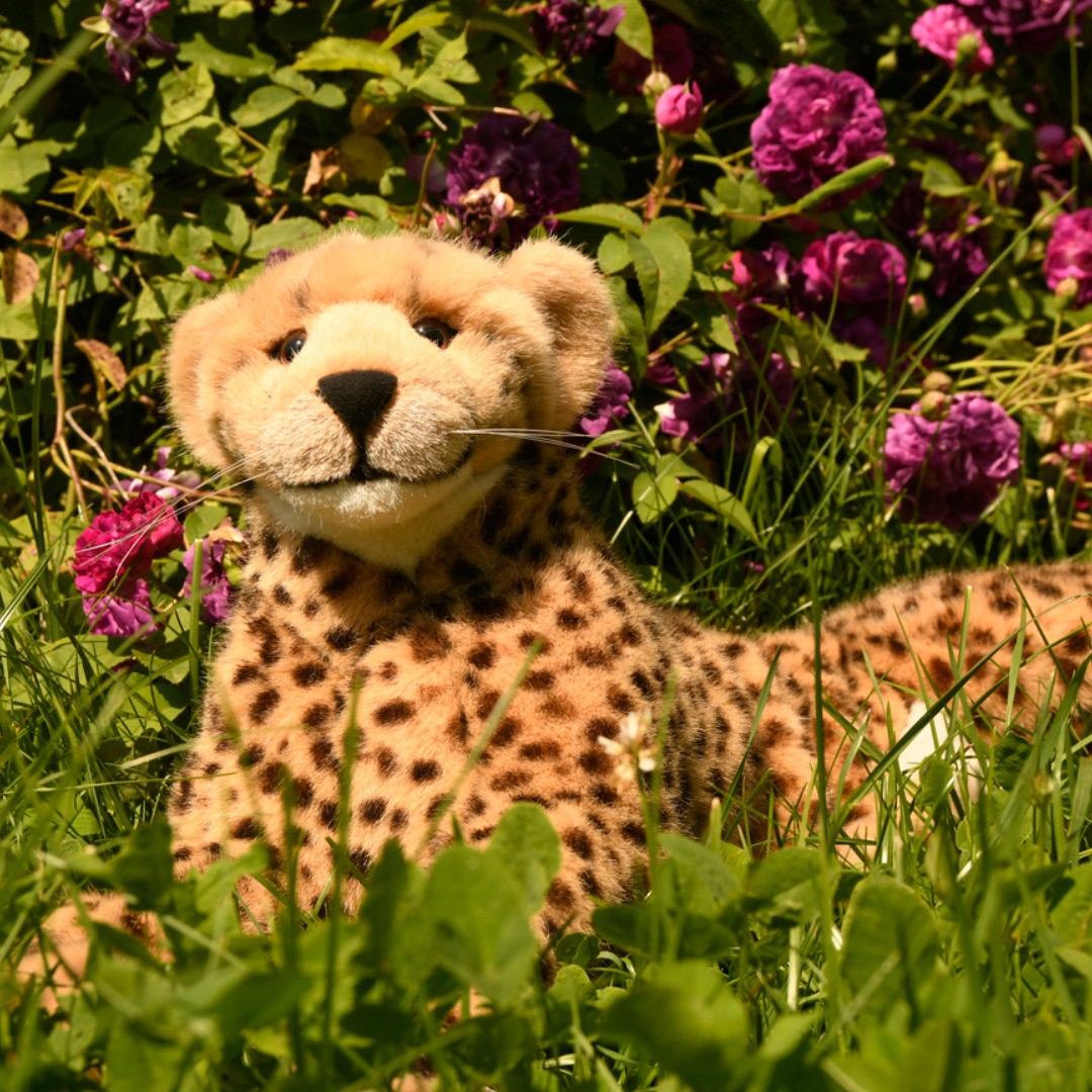 Photo by Juba Gepard on June 24, 2019.