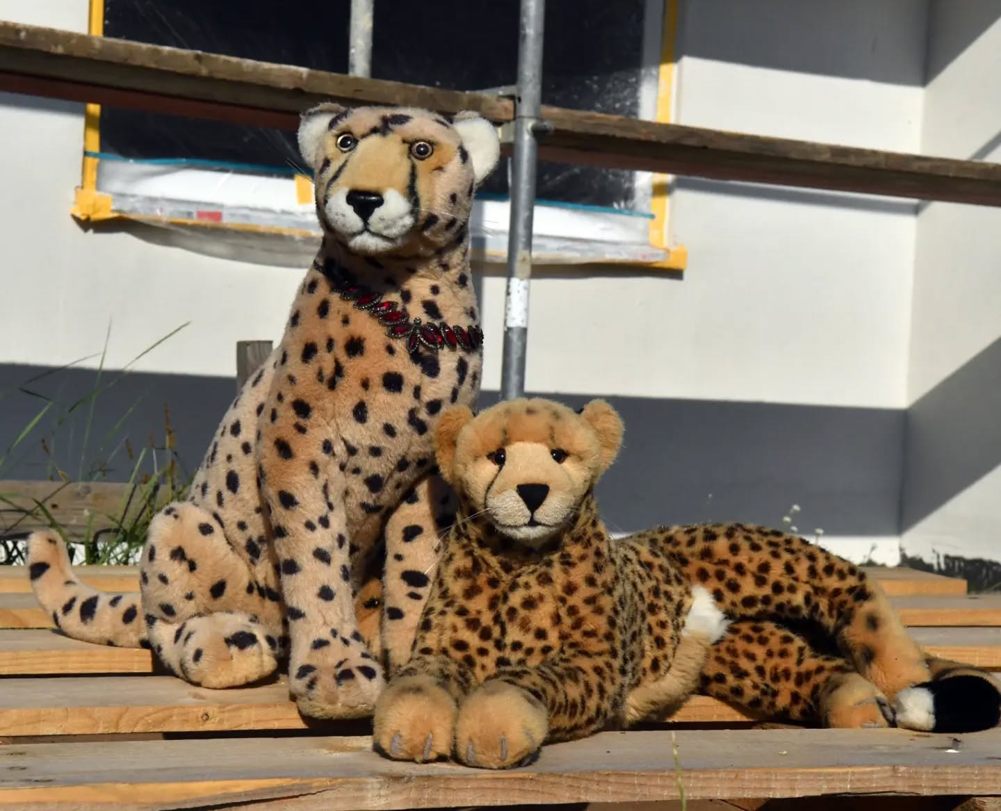 Photo by Juba Gepard on August 14, 2024.