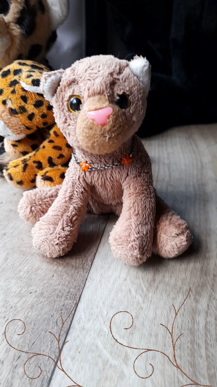 Recently in the holiday home... I think, I need to teach the cubbies not letting everyone in the house  [#BlackLeopard] [#Panther] [#LifeSize] [#AuxNations] [#JubaOnTour] [#PlushiesOfInstagram] [#PlushiesOfGermany] [#Plushie] [#Kuscheltier] [#plushies] [#plushiecommunity]...
