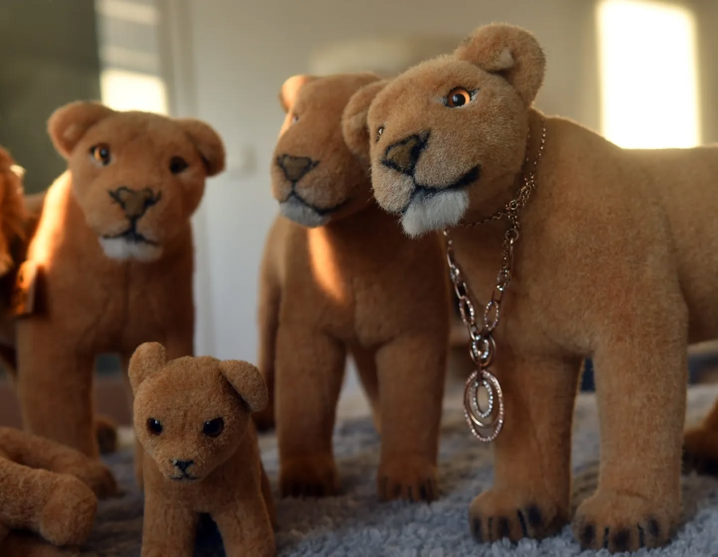 Photo by Juba Gepard on January 09, 2024.