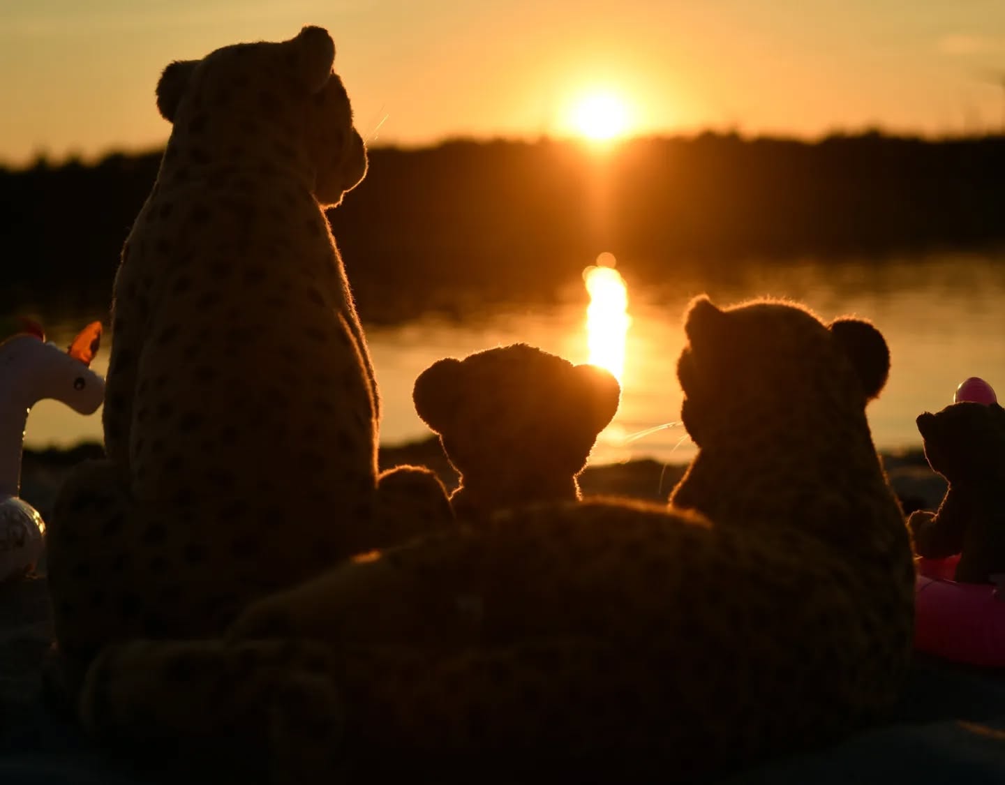 Photo by Juba Gepard on December 25, 2023.