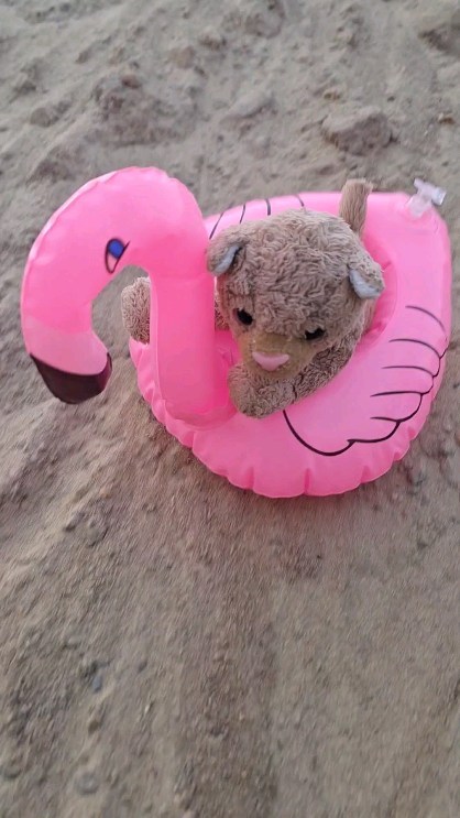 Fun, fun, fun at the construction site [#Flamingo] [#Flamingofloatie] [#Floatie]
