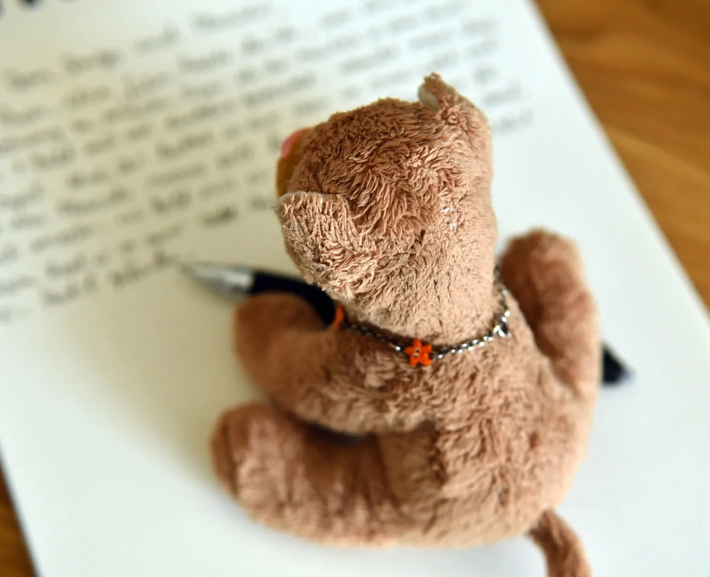 Photo shared by Juba Gepard on April 16, 2024 tagging @donringo_y_placido.