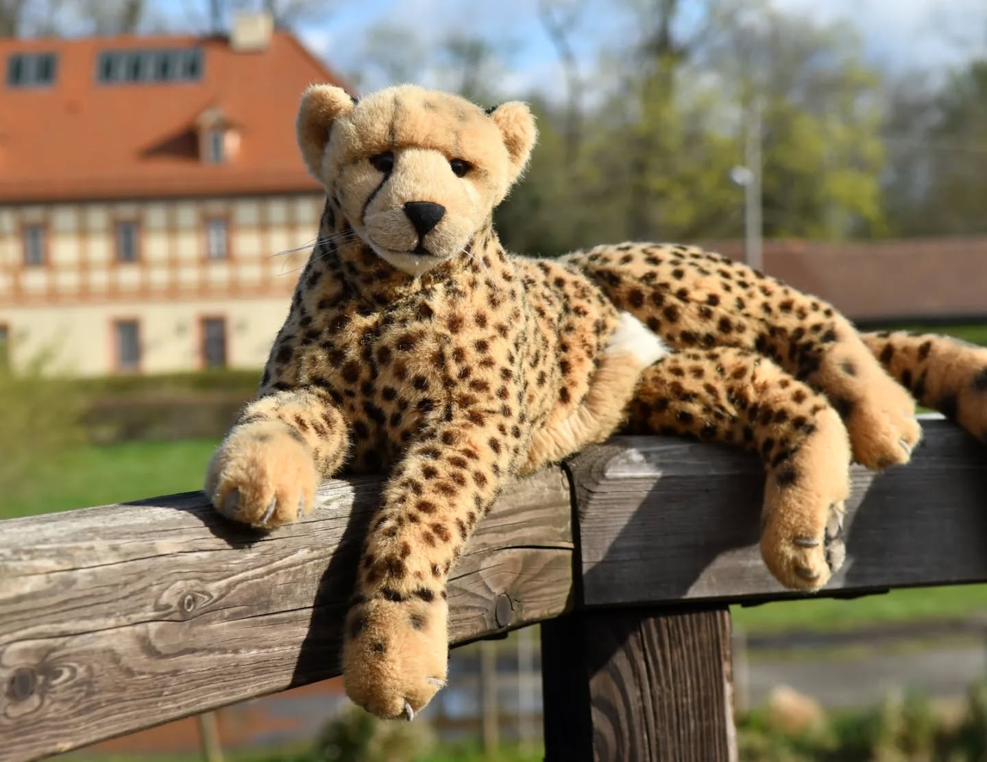 Photo by Juba Gepard on April 03, 2024.