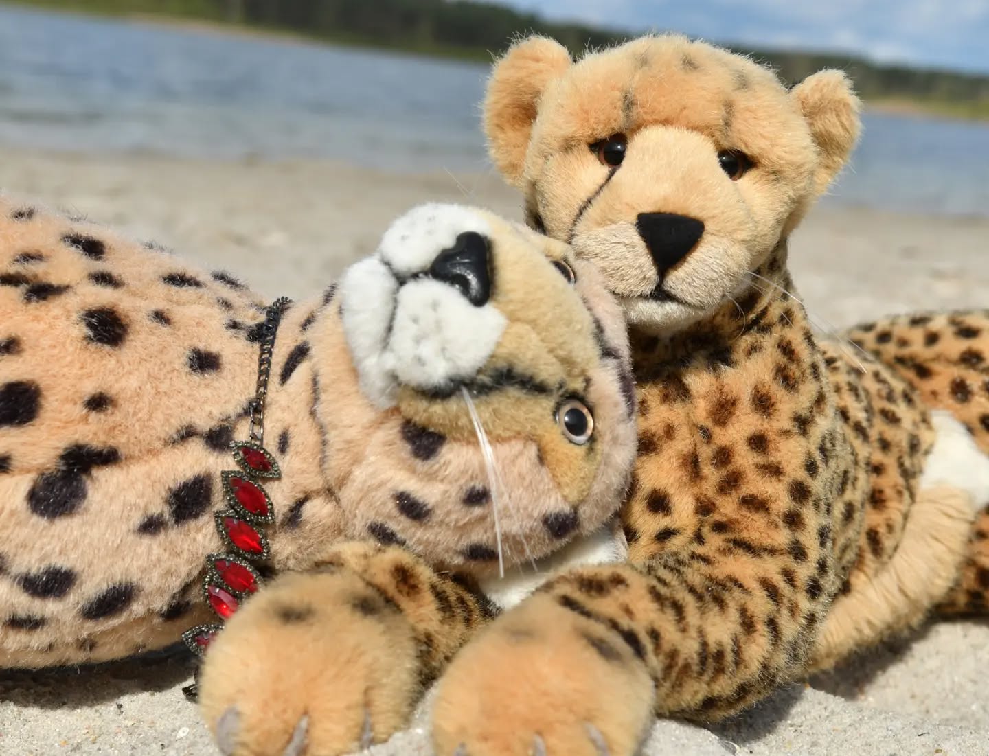 Photo by Juba Gepard on April 07, 2024.