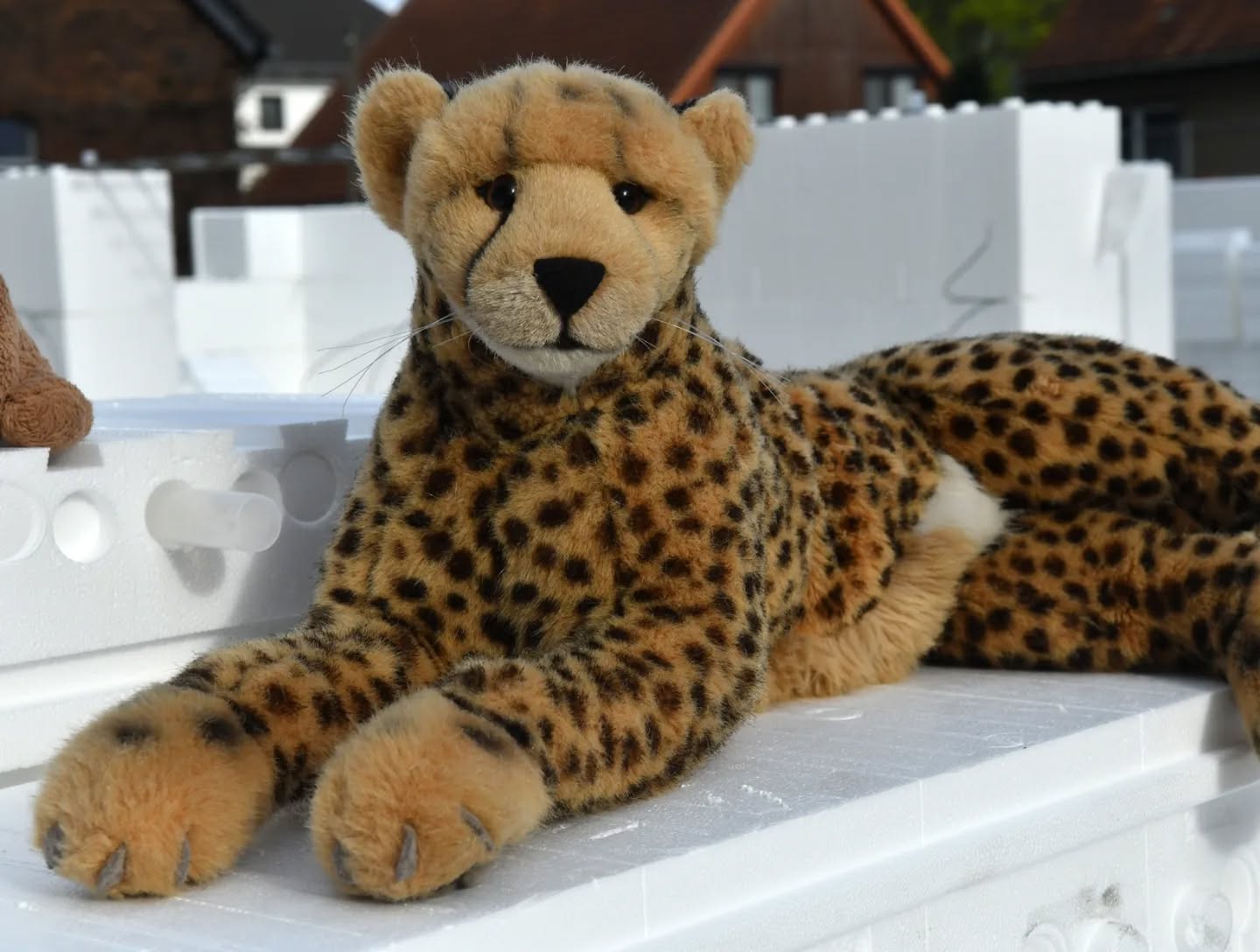 Photo by Juba Gepard on April 15, 2024.