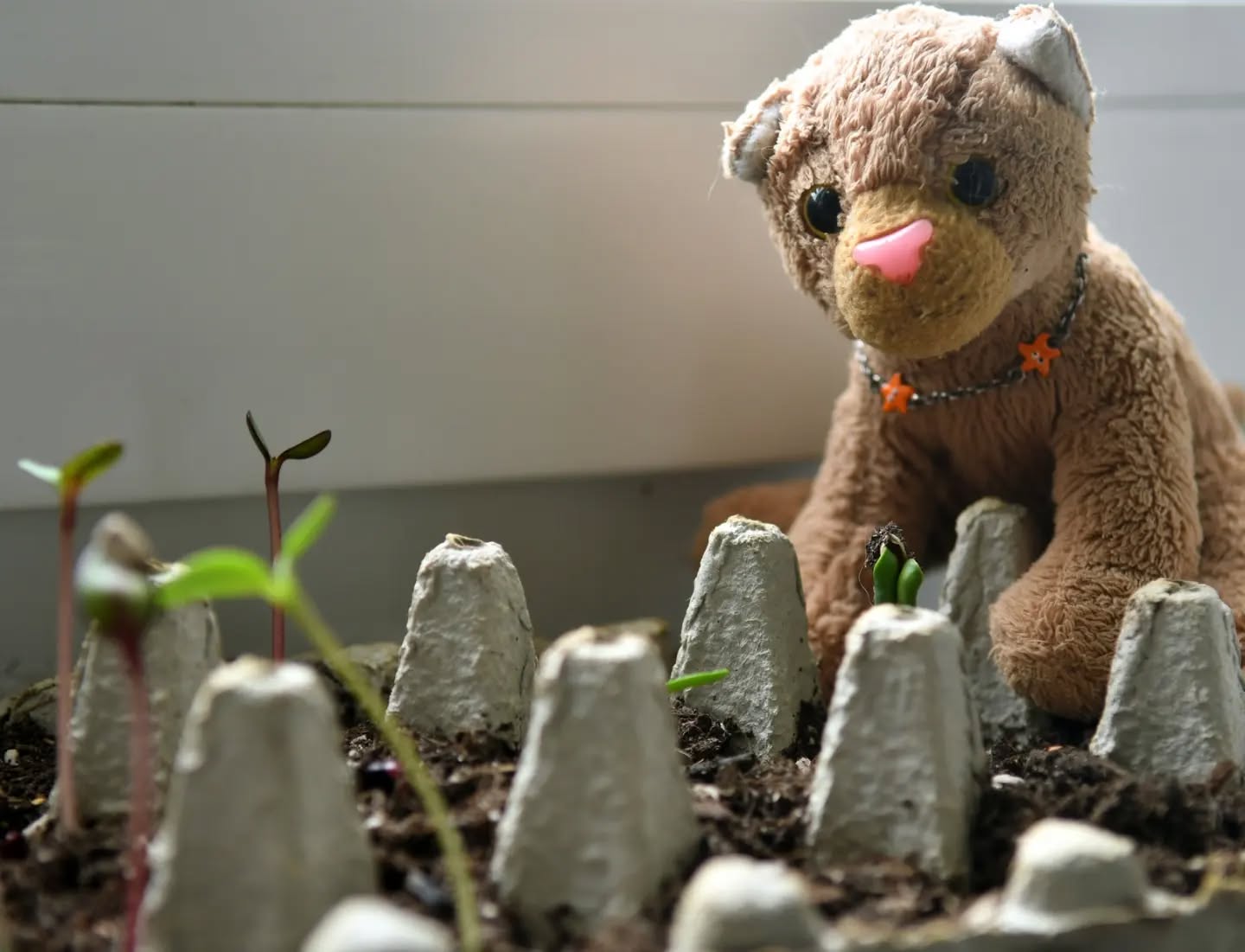 Photo by Juba Gepard on April 26, 2024.