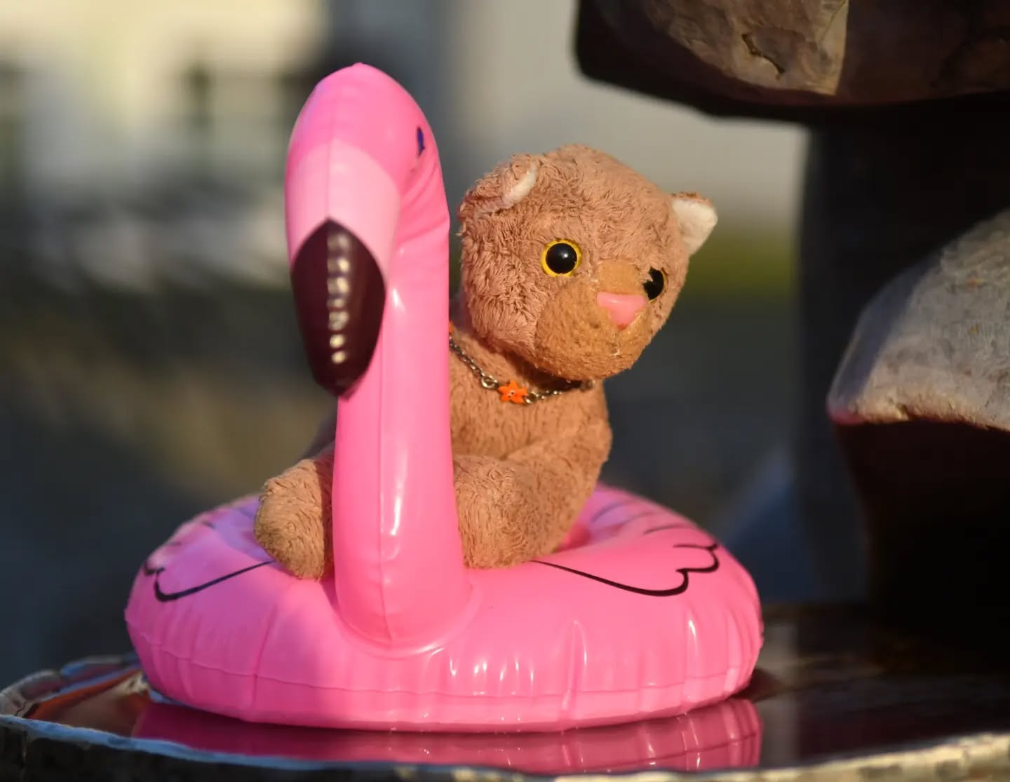 Photo by Juba Gepard on April 26, 2024.