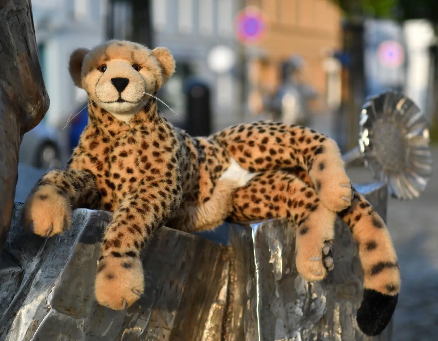 Photo by Juba Gepard on April 27, 2024.