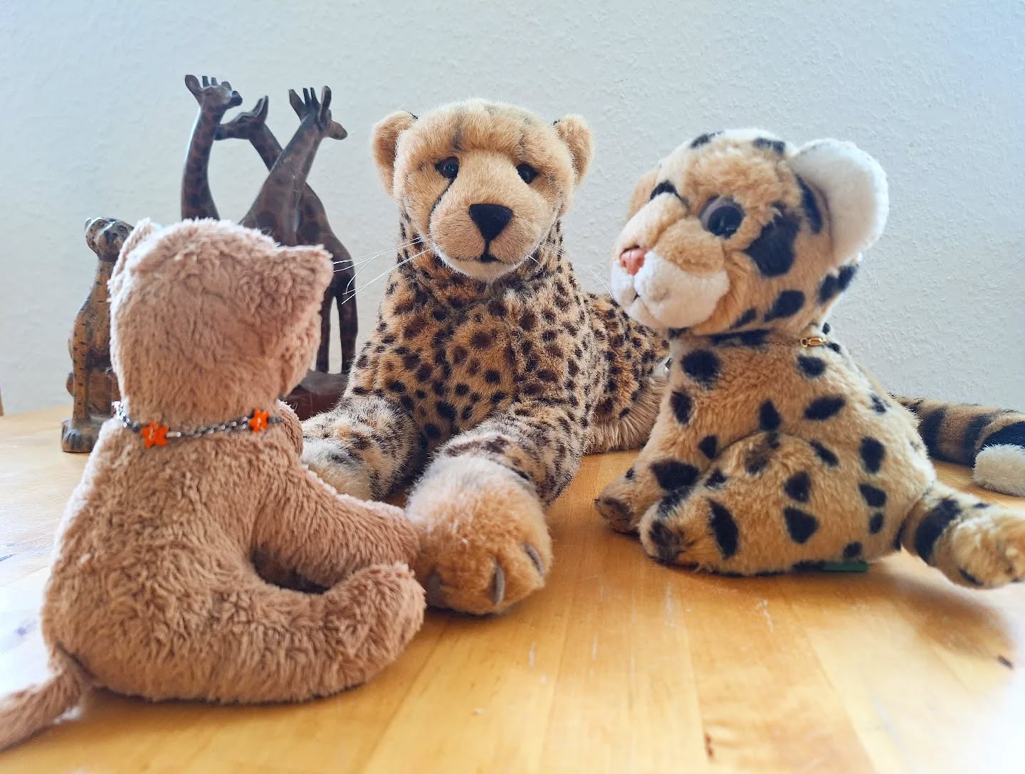 Photo by Juba Gepard on May 04, 2024.