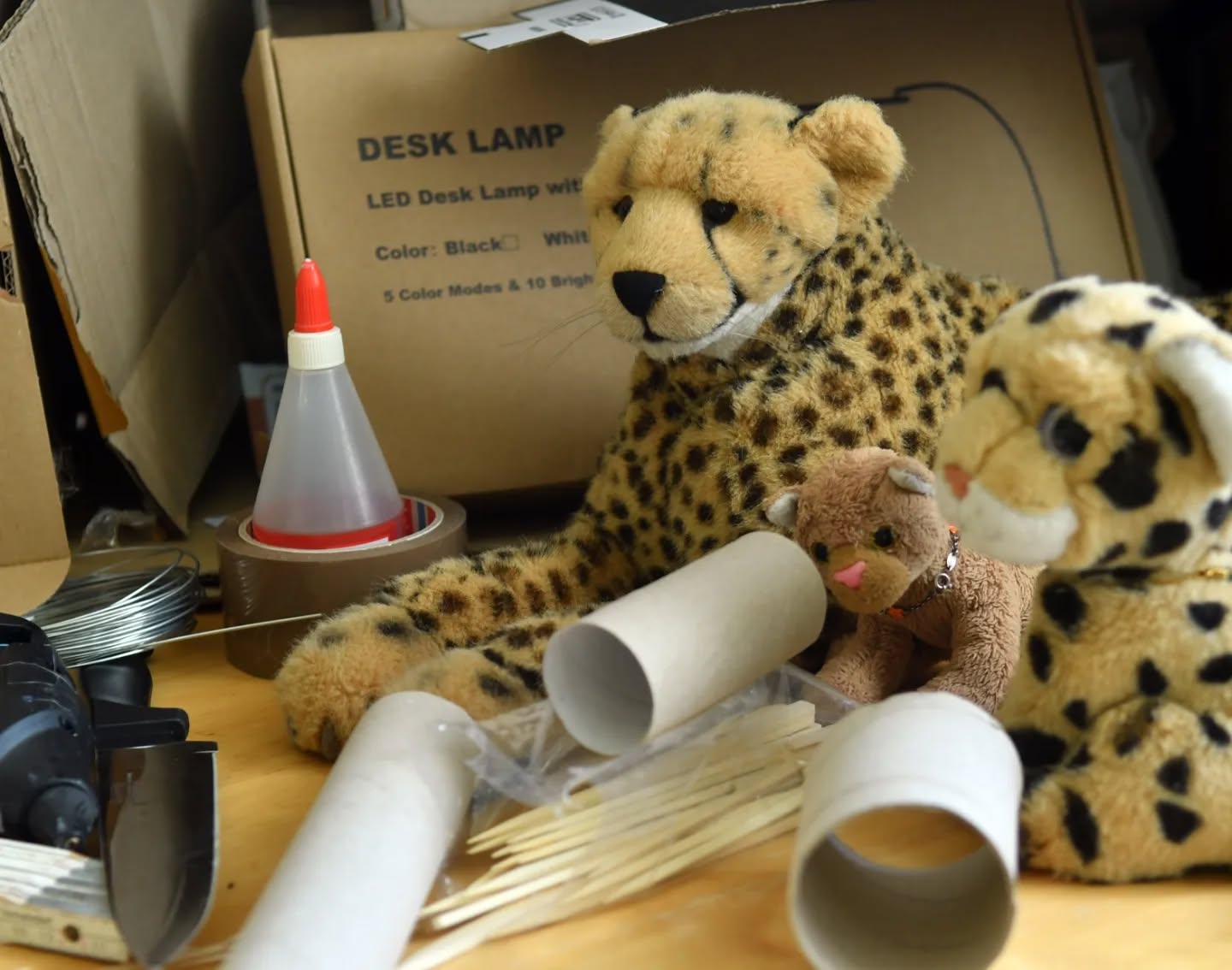 Photo by Juba Gepard on May 04, 2024.