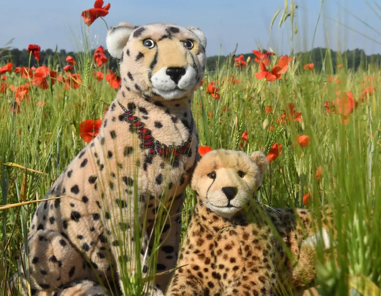 Photo by Juba Gepard on June 08, 2024.