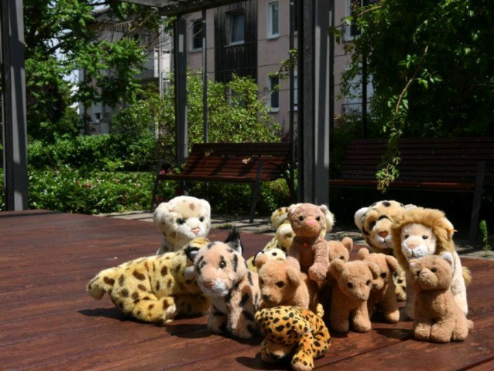 O, was für ein Spiel – wären wir Plüschies von der grundsätzlichen Veranlagung nicht eher weich und flexibel, wären wir beim gestrigen Spiel von Deutschland und Spanien wohl zu Steinen geworden. Gab es bei dieser EM ein spannenderes, wilderes, intensiveres...