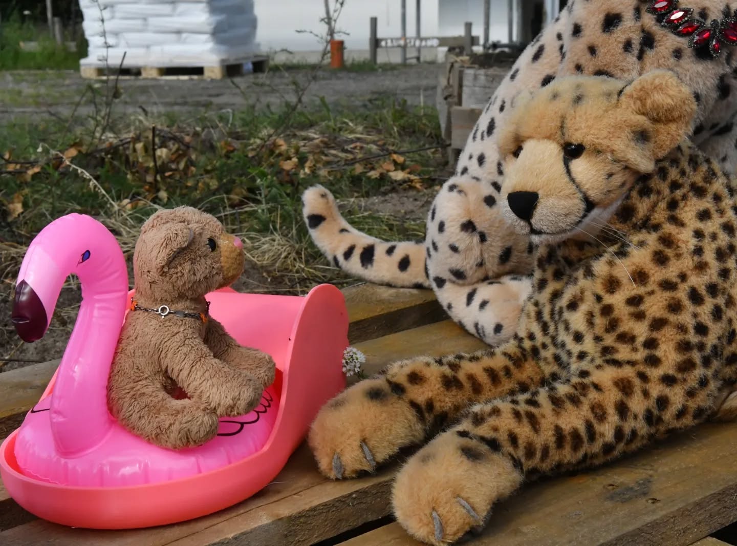 Photo shared by Juba Gepard on July 12, 2024 tagging @kreaturium.: Slide Nummer 15