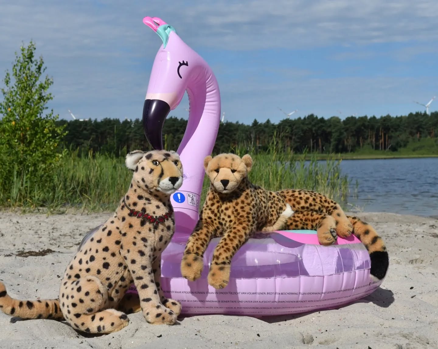 Photo by Juba Gepard on July 15, 2024.