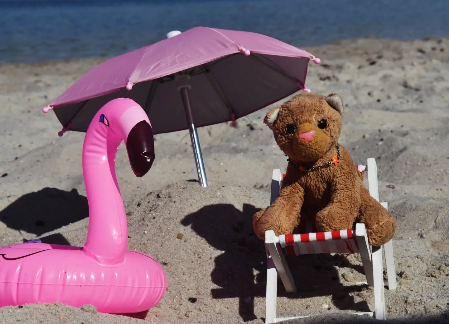 Photo by Juba Gepard on July 15, 2024.