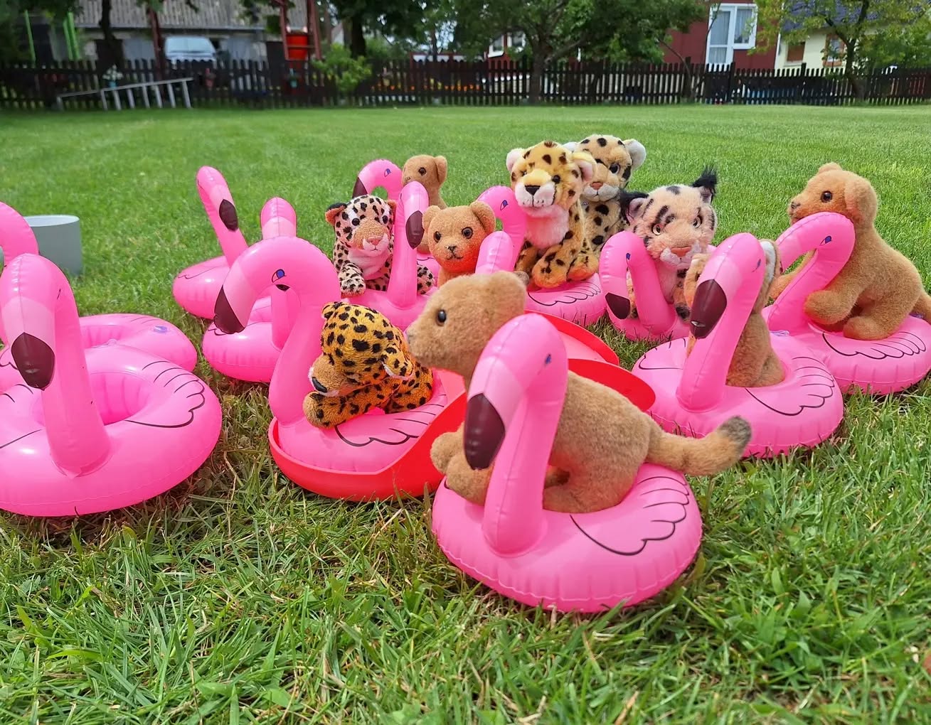 Photo by Juba Gepard on July 22, 2024.