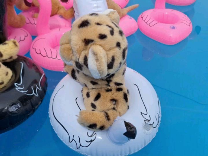 Hallo, hier ist noch einmal ausnahmsweise eure Mneka. Ihr fragt euch, was wir mit den vielen Flamingos vorhaben, nicht wahr? Nun, wir kamen, um mit diesen siebzig Flamingos im Pool herumzutreiben.  Ich durfte meinen Schwan haben, denn ich bin viel zu groß...