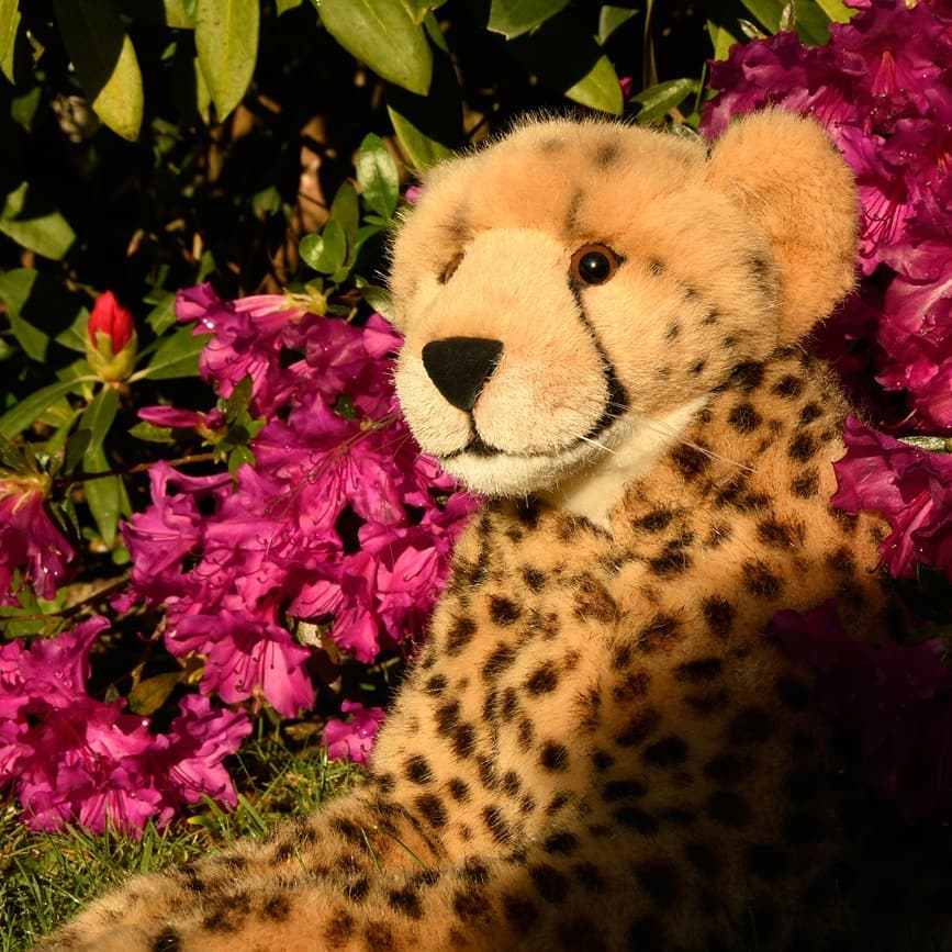 Photo by Juba Gepard on May 14, 2020.: Slide Nummer 1