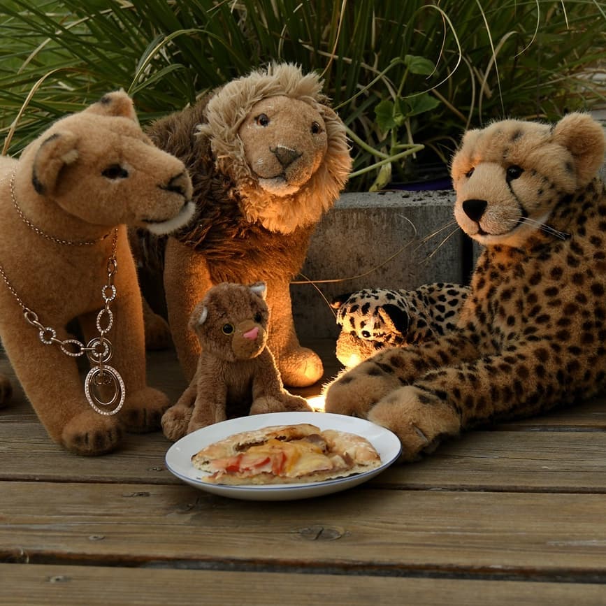 Photo shared by Juba Gepard on May 19, 2020 tagging @honeygrovebears.