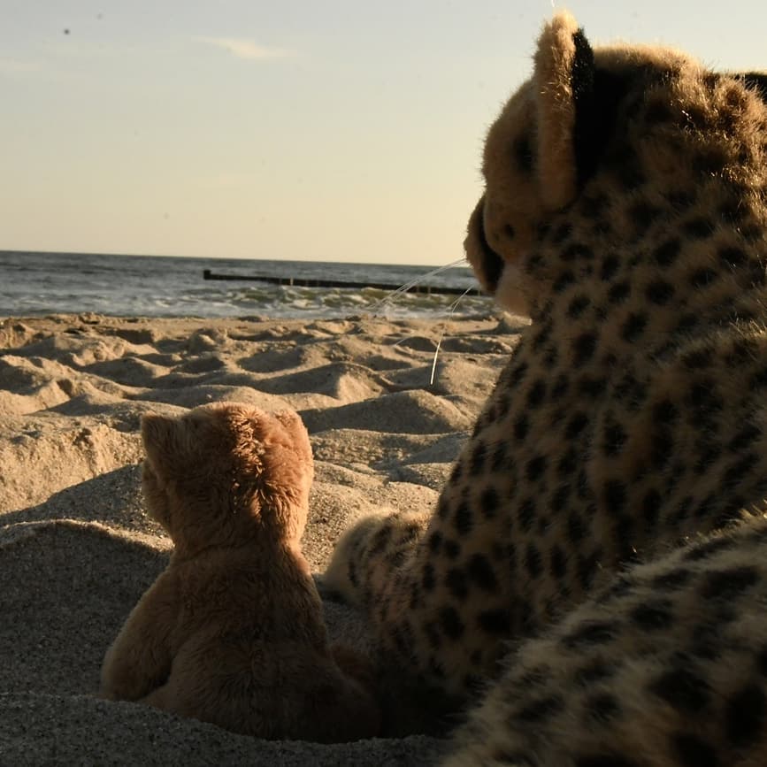 Photo by Juba Gepard on June 16, 2020.