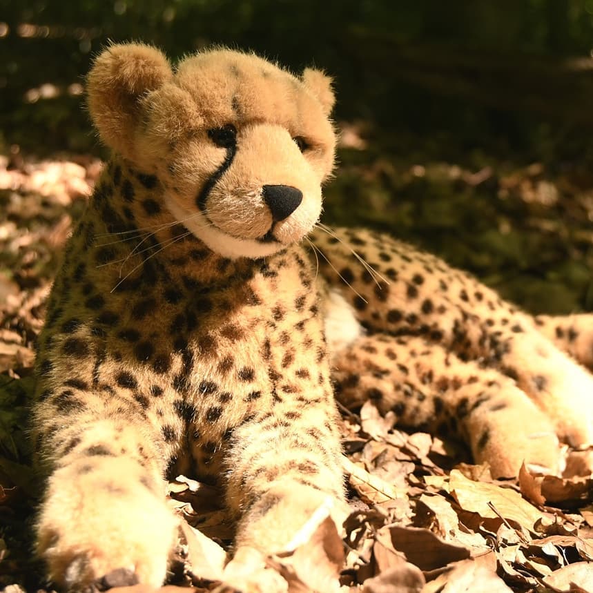 Photo by Juba Gepard on July 19, 2020.: Slide Nummer 1