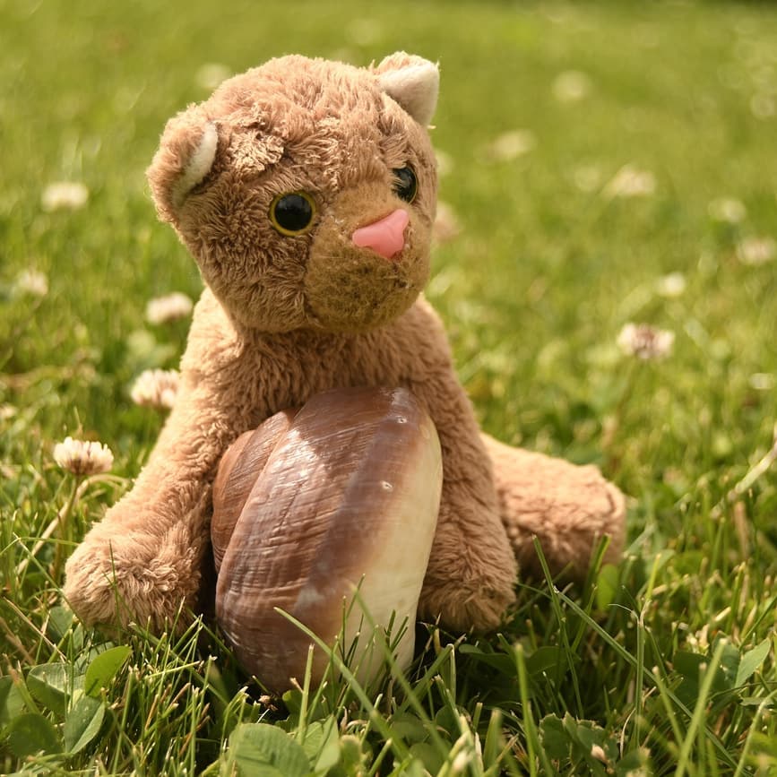 Photo by Juba Gepard on July 05, 2020.