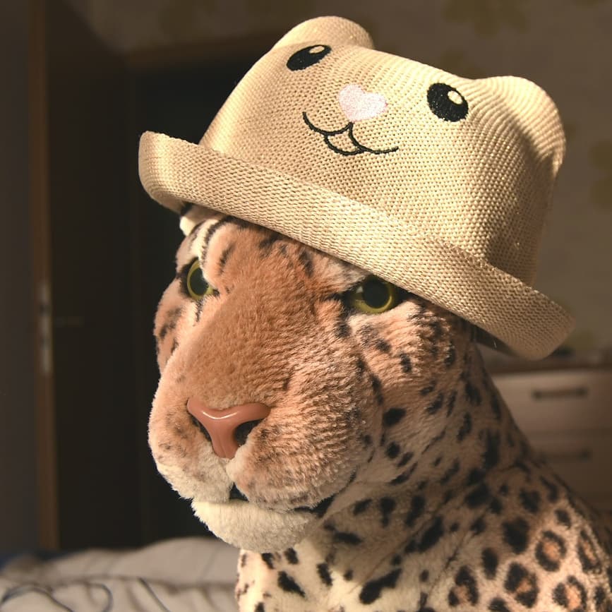 Photo by Juba Gepard on July 27, 2020.