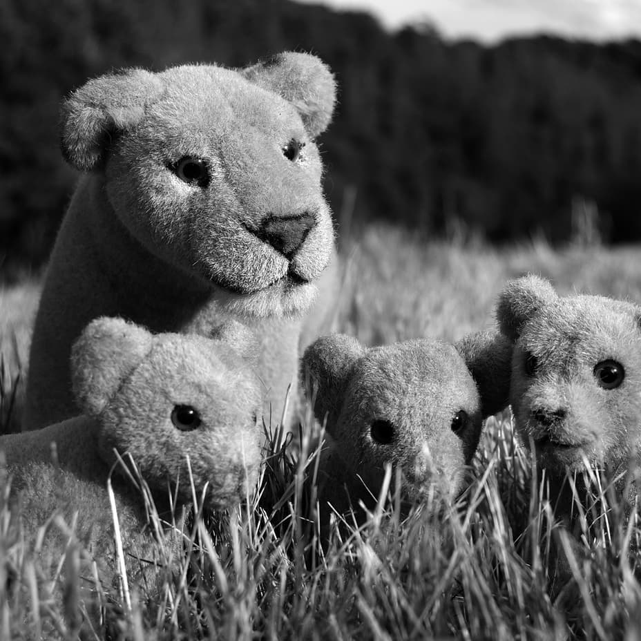 Photo shared by Juba Gepard on August 02, 2020 tagging @charliejost50.
