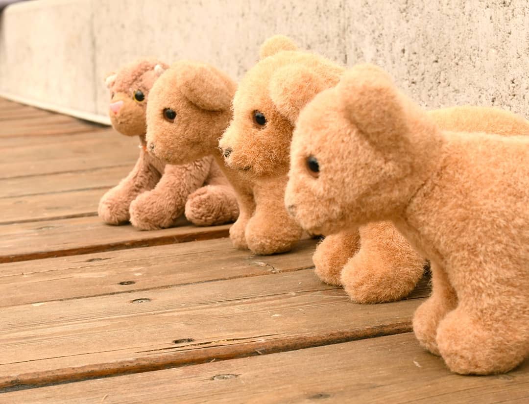 Photo shared by Juba Gepard on August 03, 2020 tagging @the_blahaj_bros.