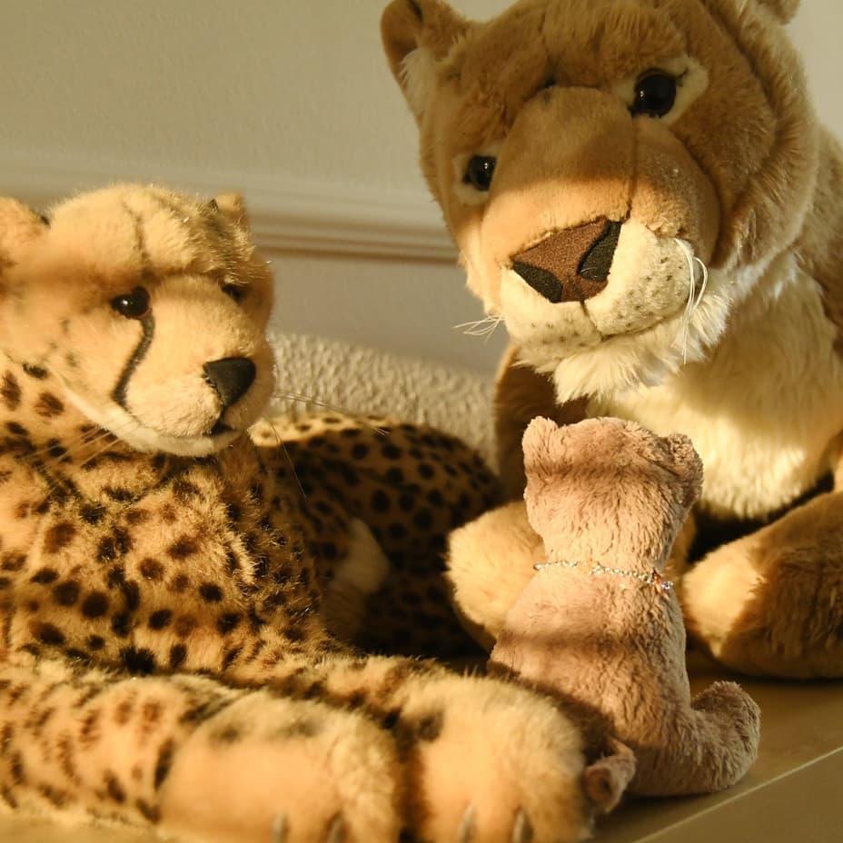 Photo by Juba Gepard on September 07, 2020.