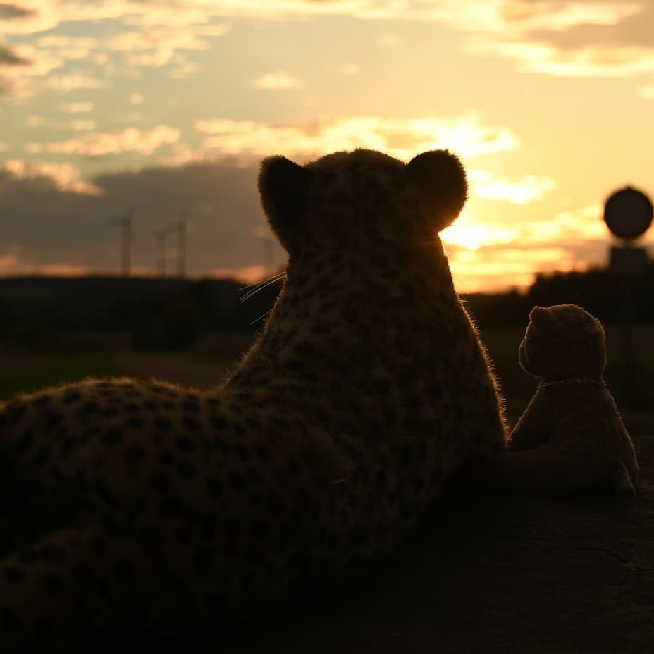 Photo by Juba Gepard on September 04, 2020.