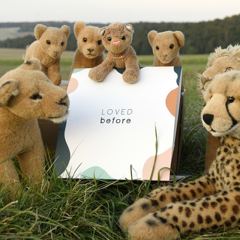 Photo by Juba Gepard on September 16, 2020.