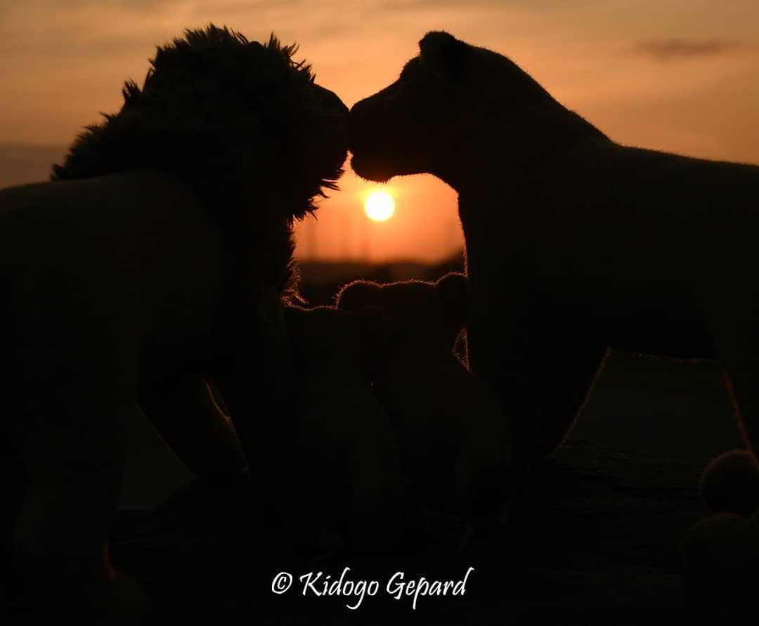 Photo by Juba Gepard on September 19, 2020.