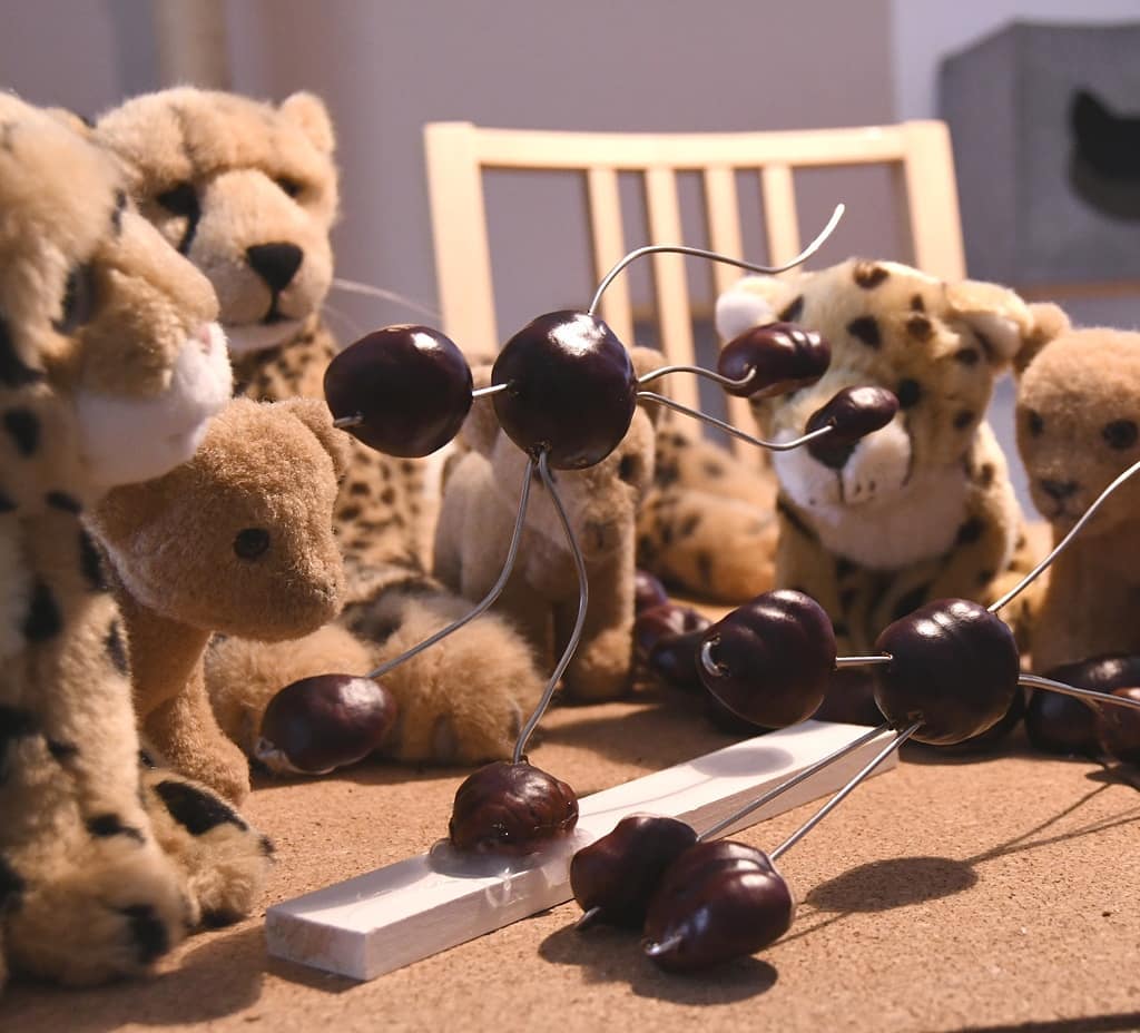 Photo by Juba Gepard on September 26, 2020.