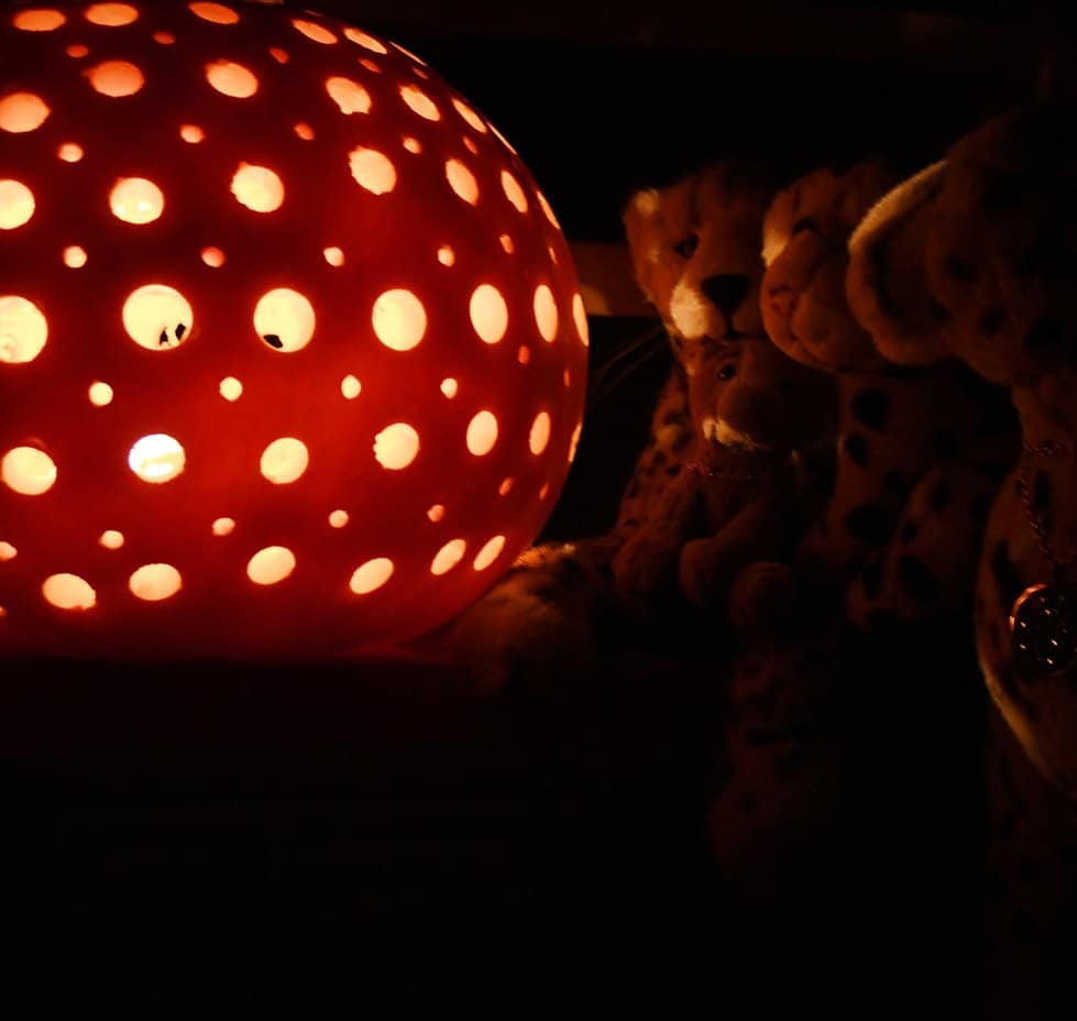 Photo by Juba Gepard on October 27, 2020.