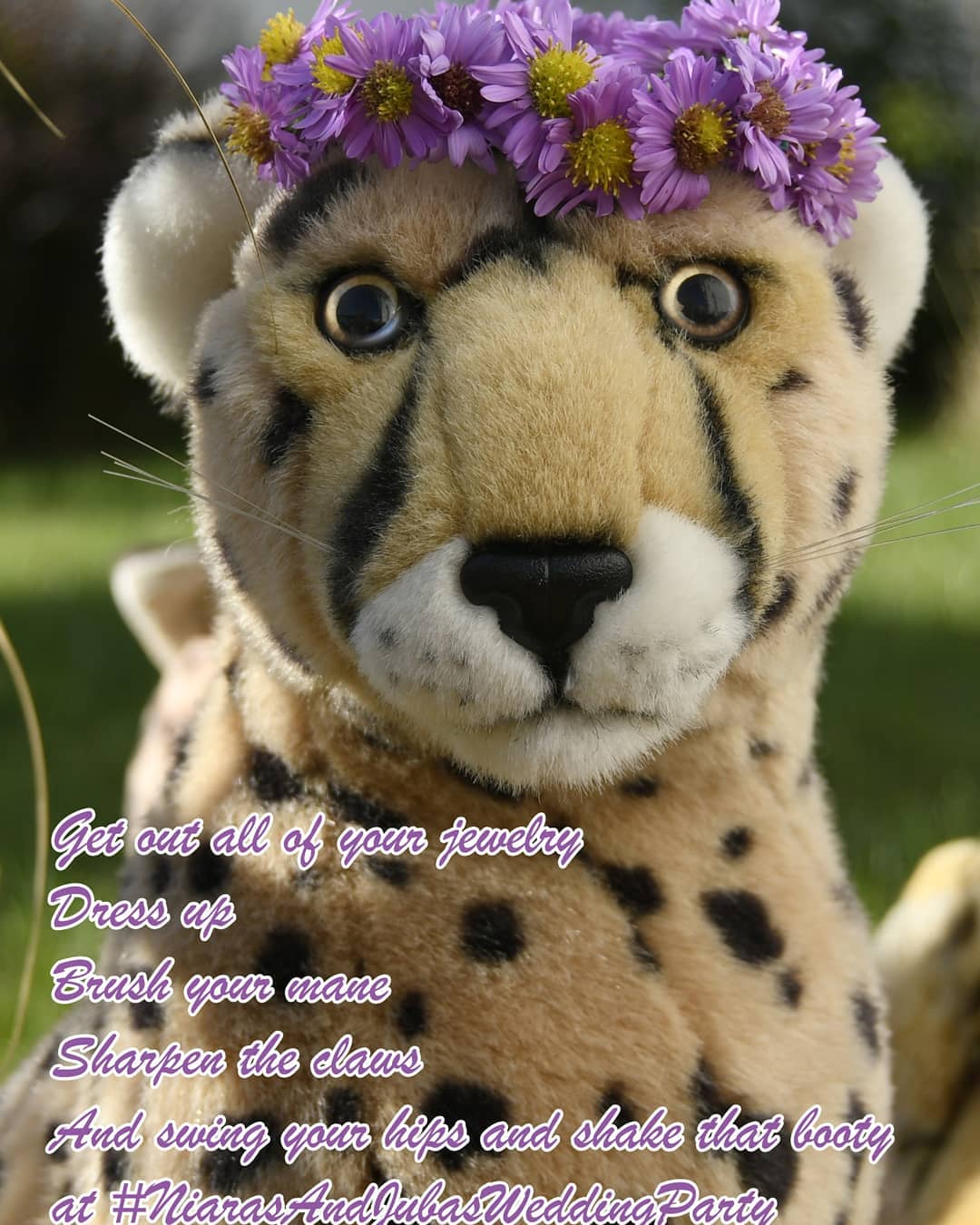 Photo by Juba Gepard on October 14, 2020.