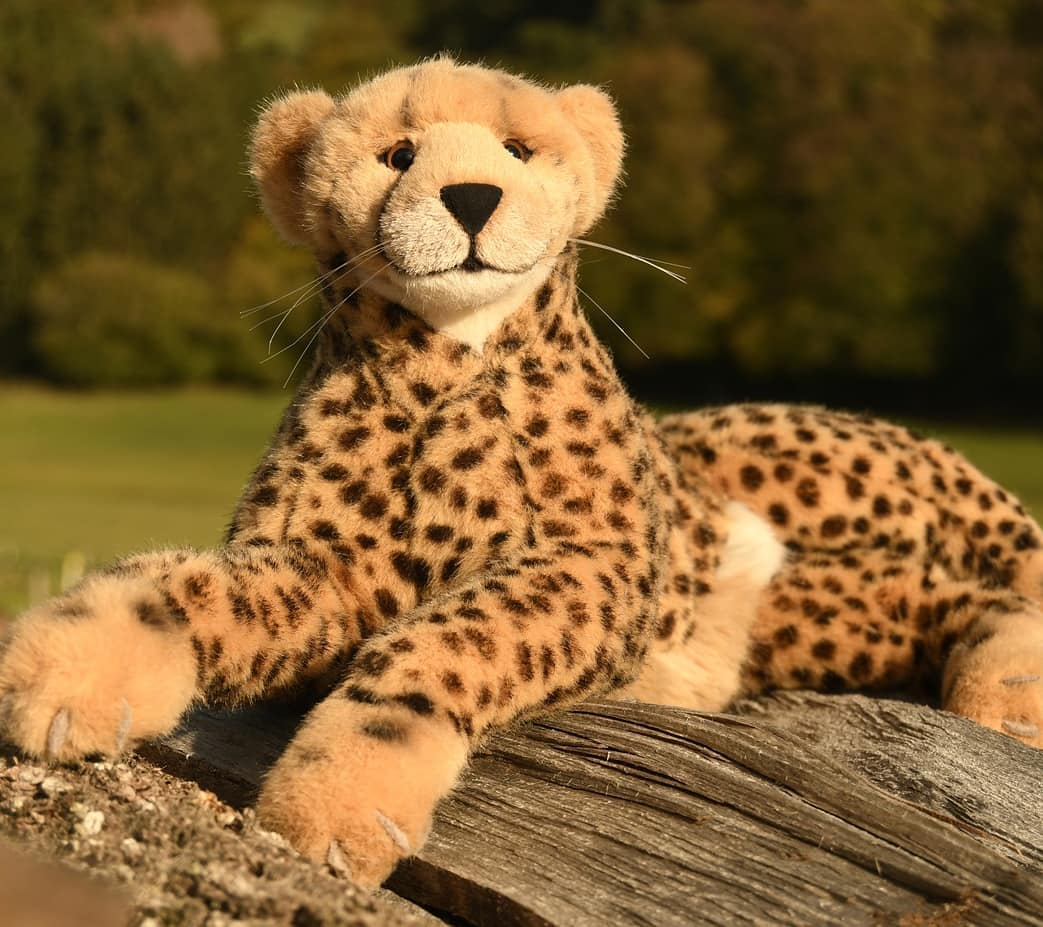 Photo by Juba Gepard on October 17, 2020.